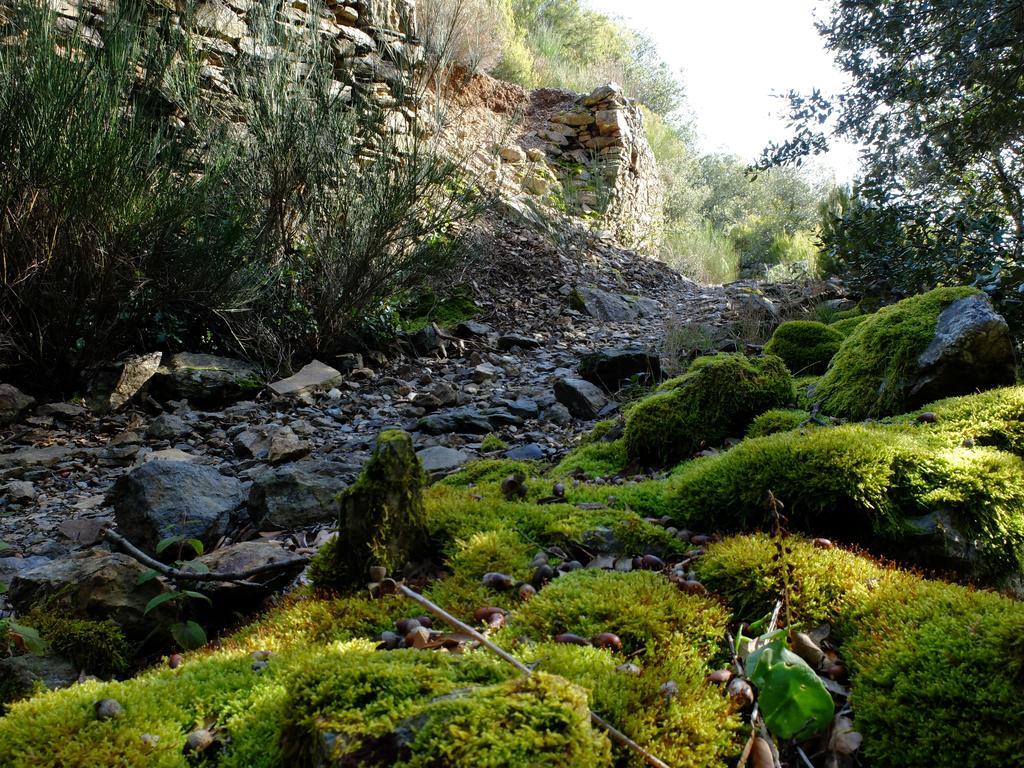 La Maison Du Voyageur Les Ilhes Dış mekan fotoğraf